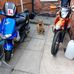 Sean Mace - Facebook