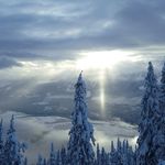 Sean Macleod - @seanmacleod1 - Instagram