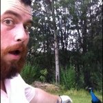 Sean Mann - @sebrer - Instagram