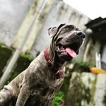 Sean Manuel Onuorah - @summer_seanson - Instagram
