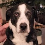 Sean Markham - @markham_sean - Instagram
