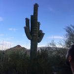Sean Markley - @zipperdog76 - Instagram