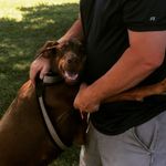 Sean P Markley - @seanmarkley - Instagram