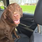 Sean Matasowski - Facebook