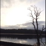 Sean Mayhew - @seanmayhew123 - Instagram