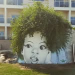 @sean_mcadams8 - Instagram