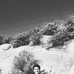 Sean McAtee - @cafehay - Instagram