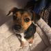 Shawn McAtee - Facebook