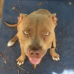 Sean Mccombs - @mccombssean888 - Instagram