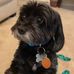 Sean McElwee - Facebook