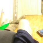Sean McElwee - @sean.mcelwee.395 - Instagram