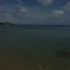 sean - @sean.mcelwee1 - TikTok