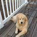 Sean Mckeen - Facebook