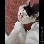 Sean Michael - Facebook