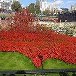 Sean Mcminn - @sean.mcminn1 - Instagram