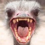 Sean Mcmurray - @me_seanmcmurray - Instagram
