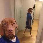 Sean Mcmurray - @cosmo_is_n0t - Instagram