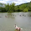 Sean - @seanmcnatt6 - TikTok