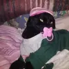 Sean Melendez646 - @seanmelendez646 - TikTok