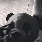 Nicholas Sean Messick - @nick.messick02 - Instagram