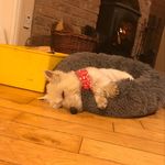Sean Middleton - @sean_middleton19 - Instagram