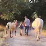 Sean Millard - @powerstrokelife72 - Instagram