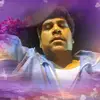 Sean Mohammed - @seanmohammed151 - TikTok