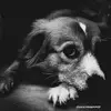 Sean Mohammed - @sean.mohammed - TikTok