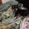 Sean Morales - @coolsloth3595 - TikTok
