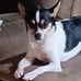 Sean Morrell - Facebook