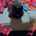 Sean Morrell - Facebook