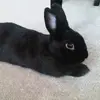 EDP445 - @seanmulvaney76494 - TikTok
