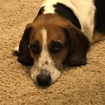 Sean Mulvaney - @seanmulvaney5 - Instagram
