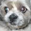 Sean Nally - @sean.nally - TikTok