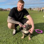Sean Needham - @ssfrenchbulldog1990 - Instagram