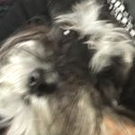 Sean Needham - @sean_needham_ - Instagram