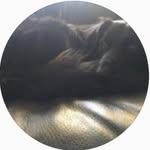 Sean Neumann - @seaneneumann - Instagram