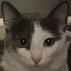 seaneneumann - @seanathan04 - TikTok