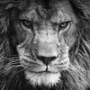 seannevins0 - @sean.nevins - TikTok