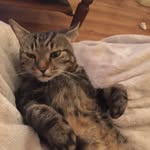 @sean_nilsen - Instagram