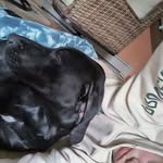 Andrew Knapp - @seannoyes27 - Instagram