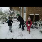 sean nutting - @nuttingsean - Instagram