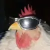 Sean OConnell - @sean.oconnell07 - TikTok