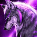 Sean Ortega - Facebook