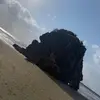 SeanOrtega - @robinsrdxfk - TikTok