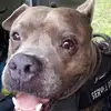 Sean Osborne - @sean.osborne8 - TikTok