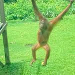 Sean Ostrowski - @ostrowskisean - Instagram