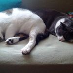 Sean painter - @paint3r3286 - Instagram