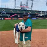 Sean Painter - @uncle_painter - Instagram