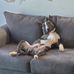 Shawn Painter - Facebook